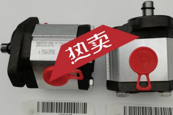 意大利Marzocchi齒輪泵GHP1A-D-7-FG，馬祖奇雙聯齒輪泵ALP2BK1-D-12-FG-V