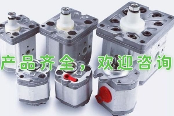日本NACHI齒輪泵IPH-5B-64-11、IPH-6B-125-11技術(shù)參數(shù)